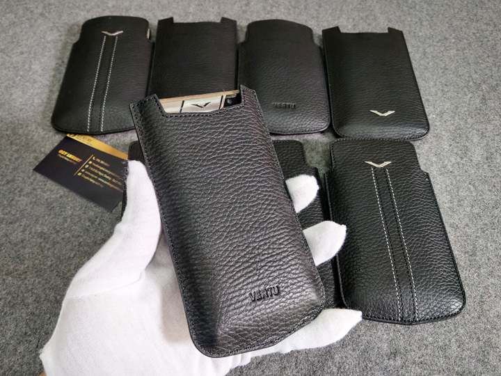 Bao da Vertu Aster P