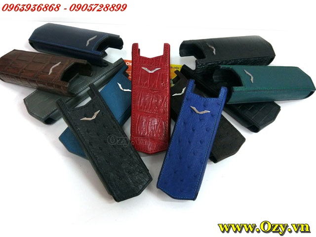 Bao da vertu signature s